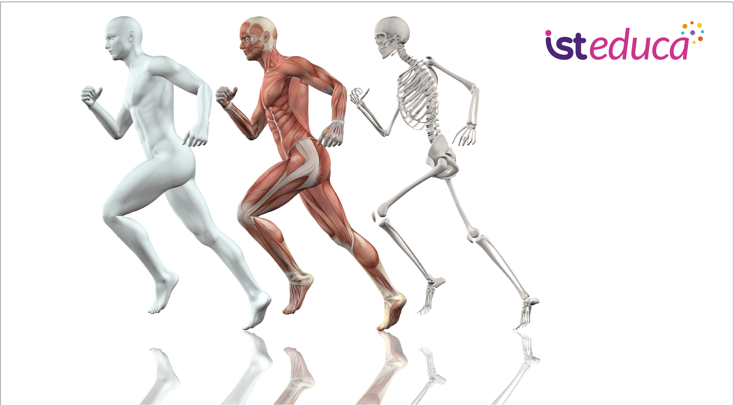 Curso Teórico para Trabajadores y Supervisores sobre el Protocolo de Vigilancia Ocupacional de Trastornos musculoesqueléticos V3