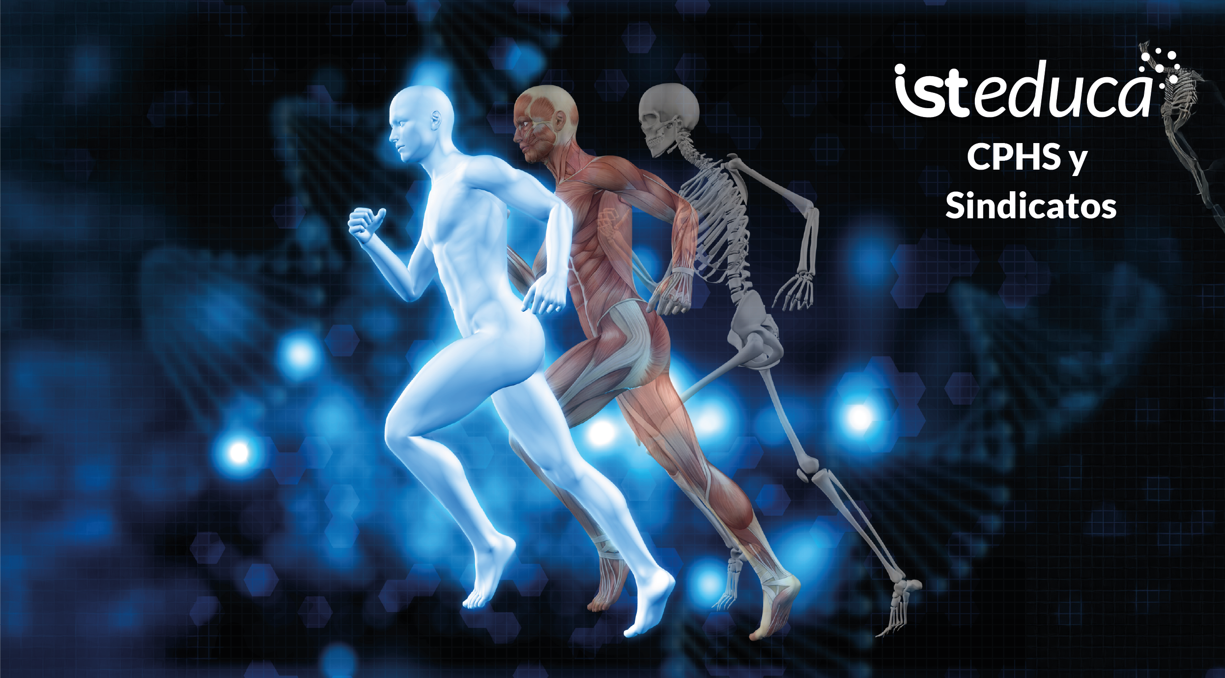 Curso Teórico para CPHS y Sindicatos sobre el Protocolo de Vigilancia Ocupacional de Trastornos Musculoesqueléticos V3